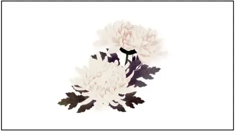 프리드라이프 상조 해약 