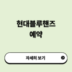 현대블루핸즈 예약